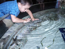 Ryan and Vivian 2006